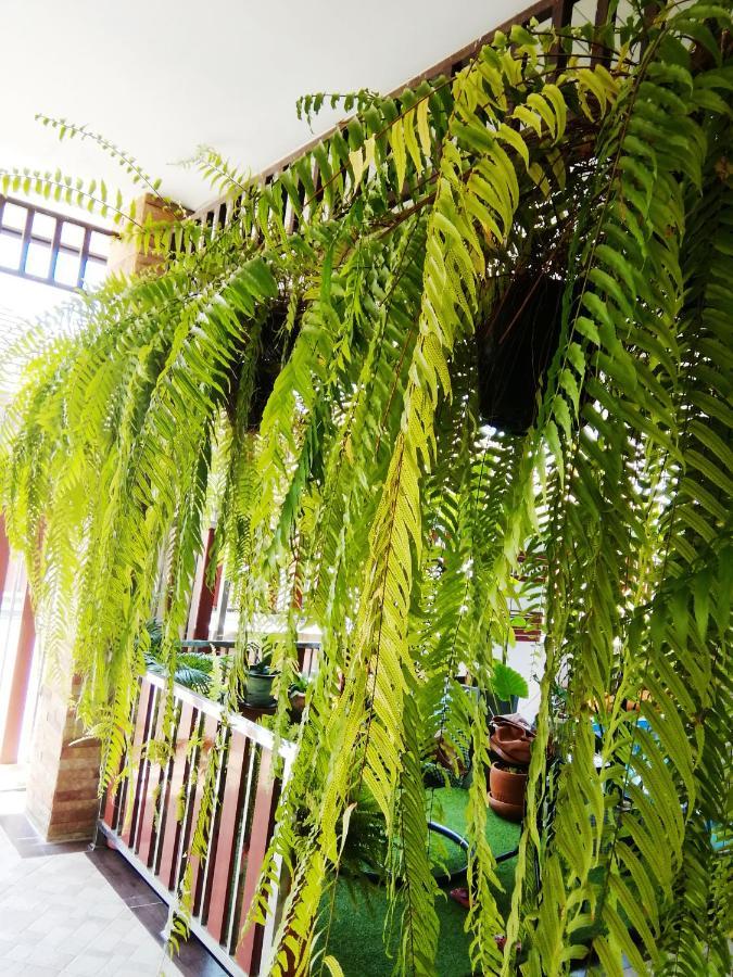 Bed and Breakfast Wilderness à Ban Chang  Extérieur photo